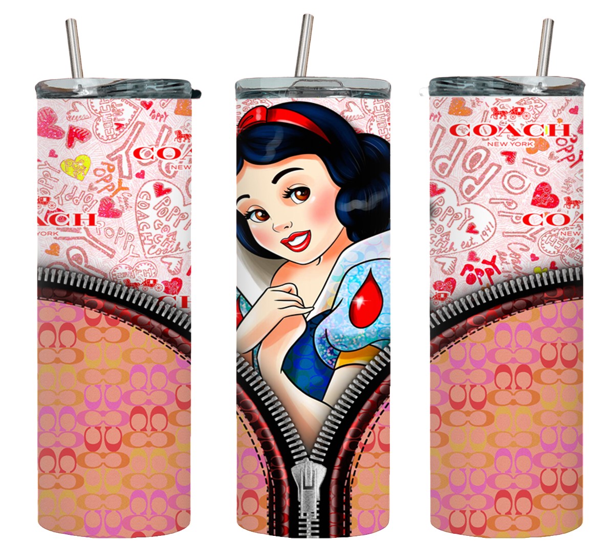 Princess Zipped-11169